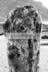 Post - Gamrie Bay-B&W+C.jpg (142kb)
